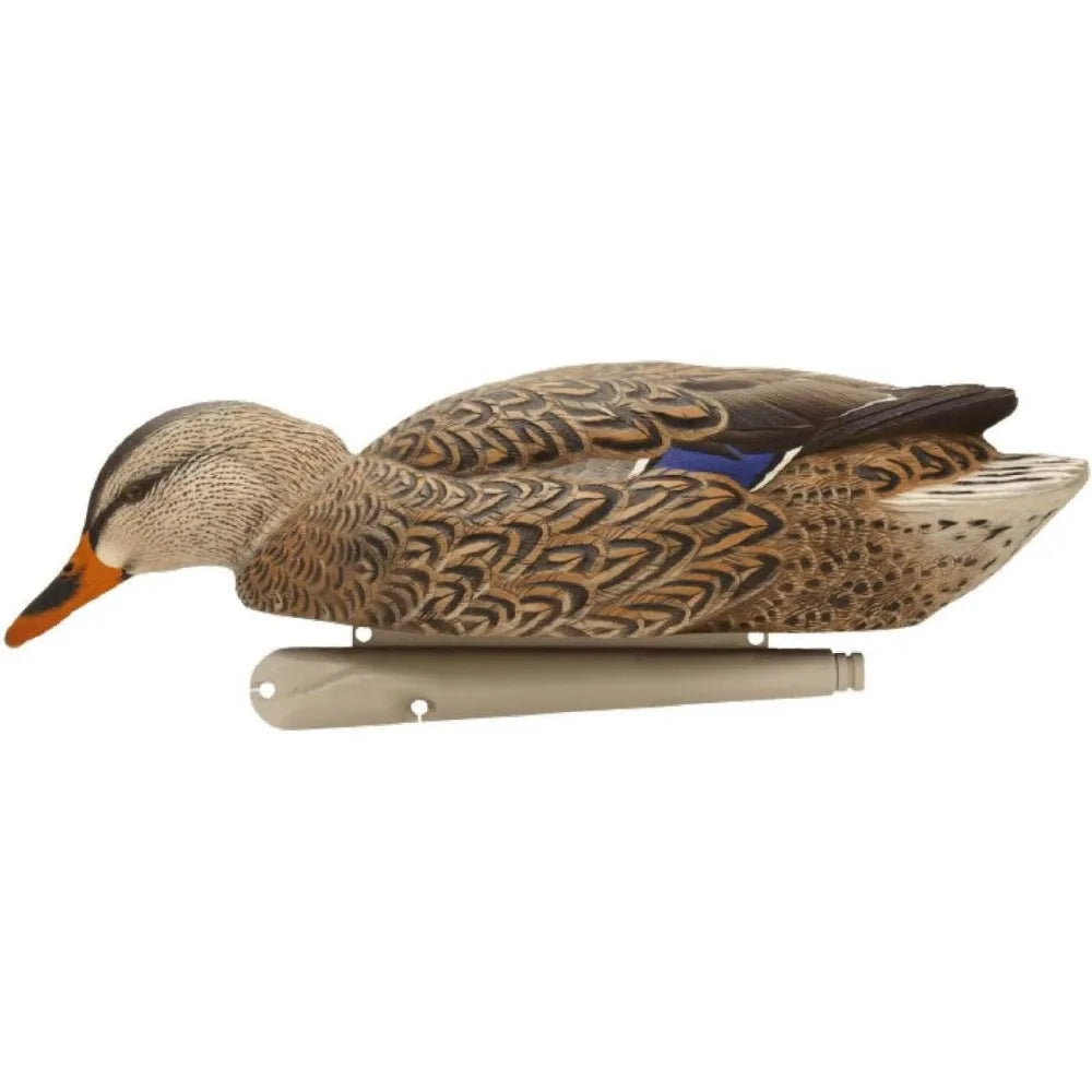 Backwater Mallards Durable Ultra Realistic Floating Hunting Decoys, easy to use，Pack of 6